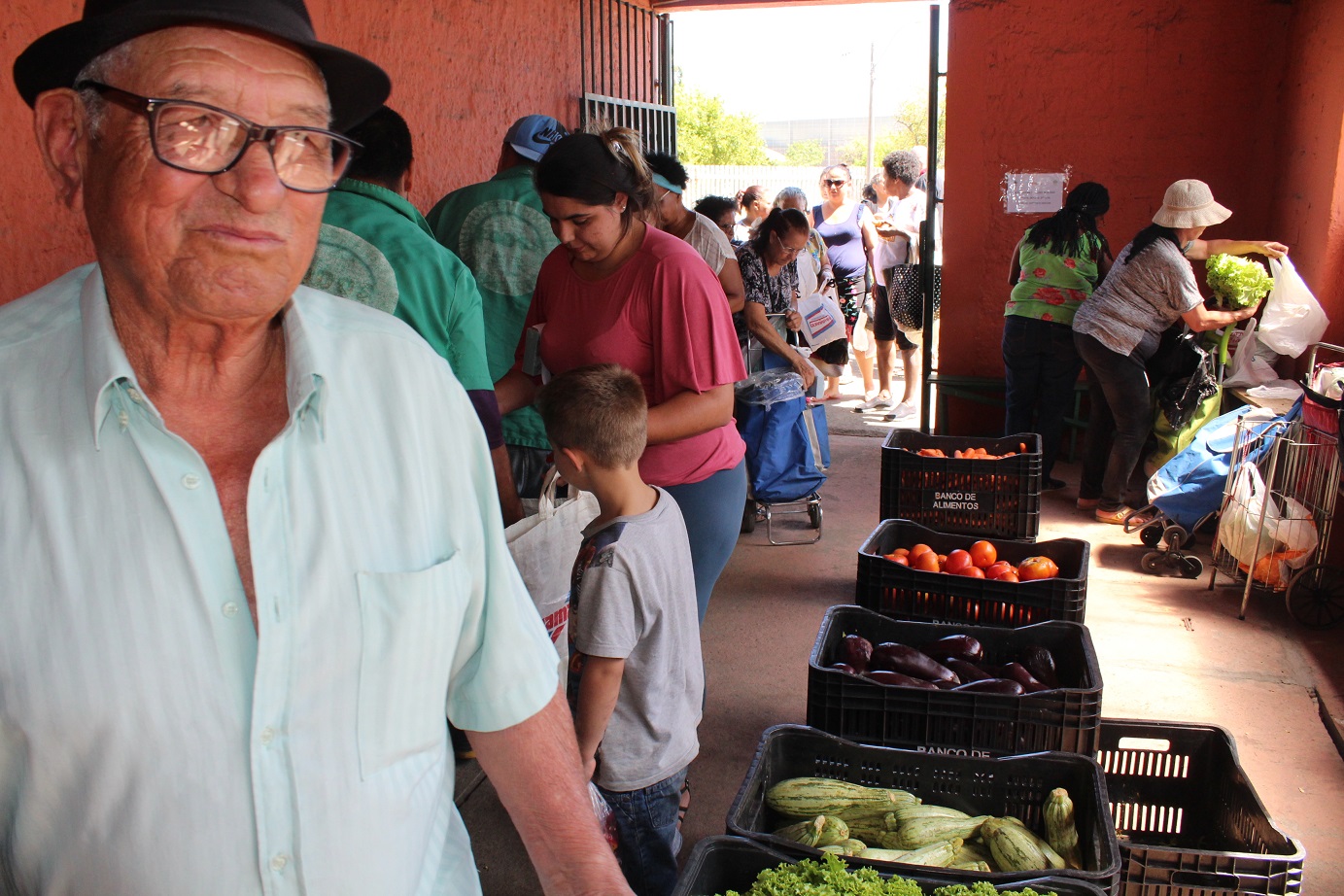 Social: 662 toneladas de hortifrútis em 2019