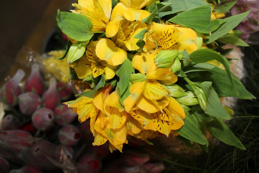 Consulte o preço das flores no site - CEASA