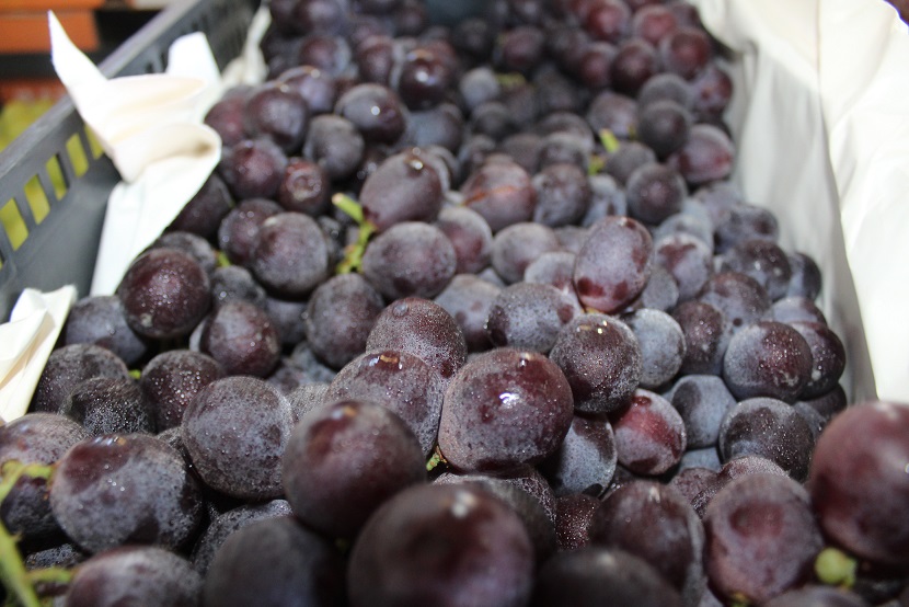 Maduras, coloridas, nutritivas e saborosas