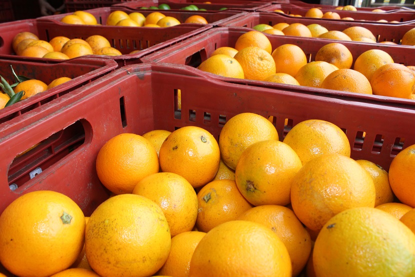 Os melhores hortifrútis à espera dos clientes