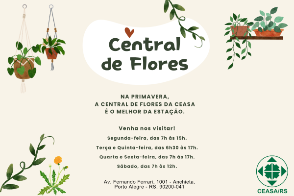 Flores para todos os gostos e ambientes