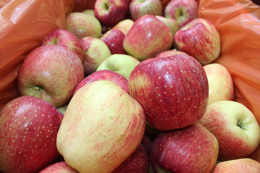 Hortifrútis para a ceia e o almoço natalinos